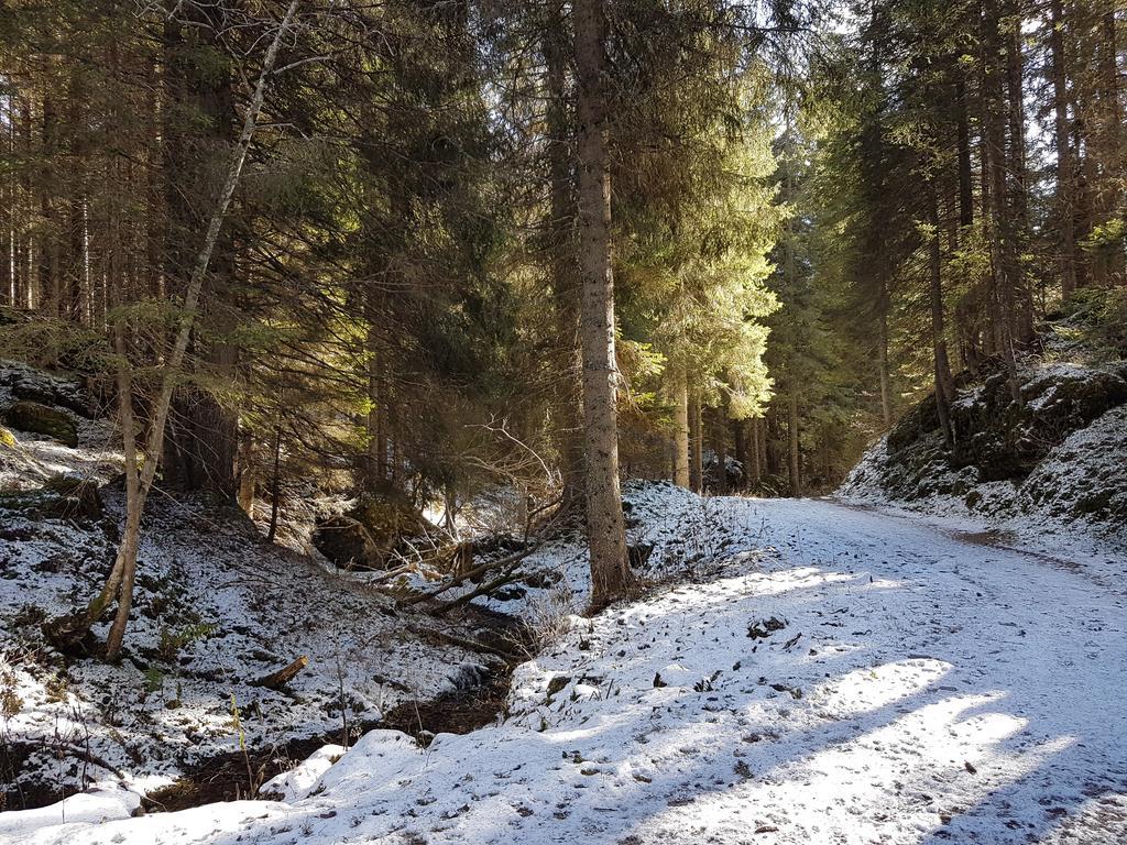Villa Elena B&B Hotel San Martino Di Castrozza Εξωτερικό φωτογραφία